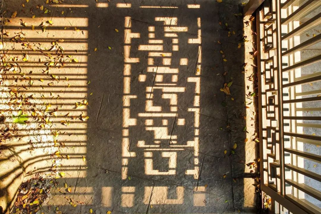 斑驳的光影。 斑驳的光影。