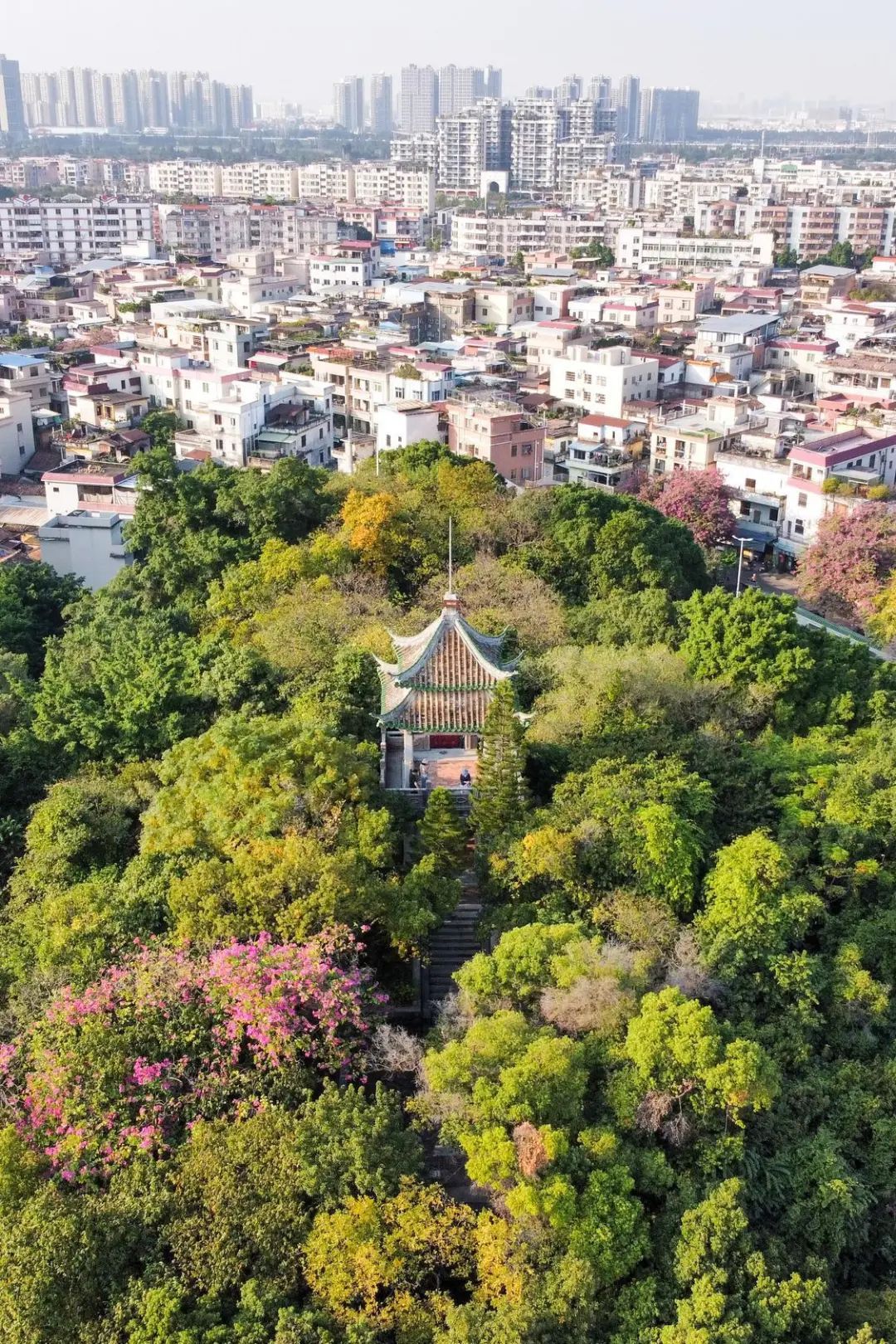 锦岩公园和城市景色。 锦岩公园和城市景色。