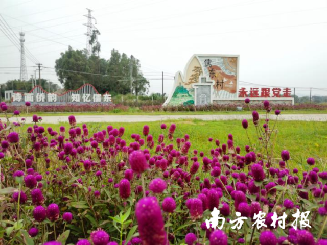 儒东村。