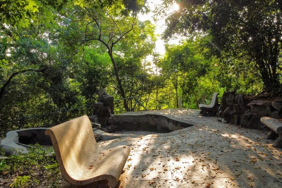 夕阳西下,黄叶满地,这一幕很治愈。 夕阳西下,黄叶满地,这一幕很治愈。