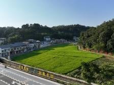 梅州兴宁：“红色引擎”驱动“百千万工程”加快实施