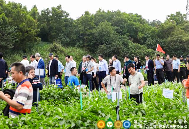 心系一粒种，集众智汇众力 ——第二十二届广东种业大会暨“百千万工程”种业交易中心启动侧记