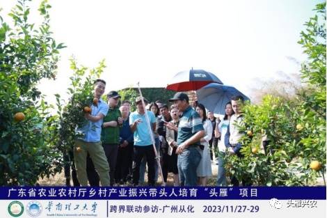 广州从化UMIZZ柑橘星球基地“头雁”研学行现场教学。