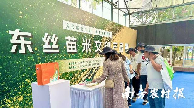 广东丝苗米文创产品展吸引游客驻足围观，通过形式多样、色彩缤纷的展品了解广东丝苗米文化。