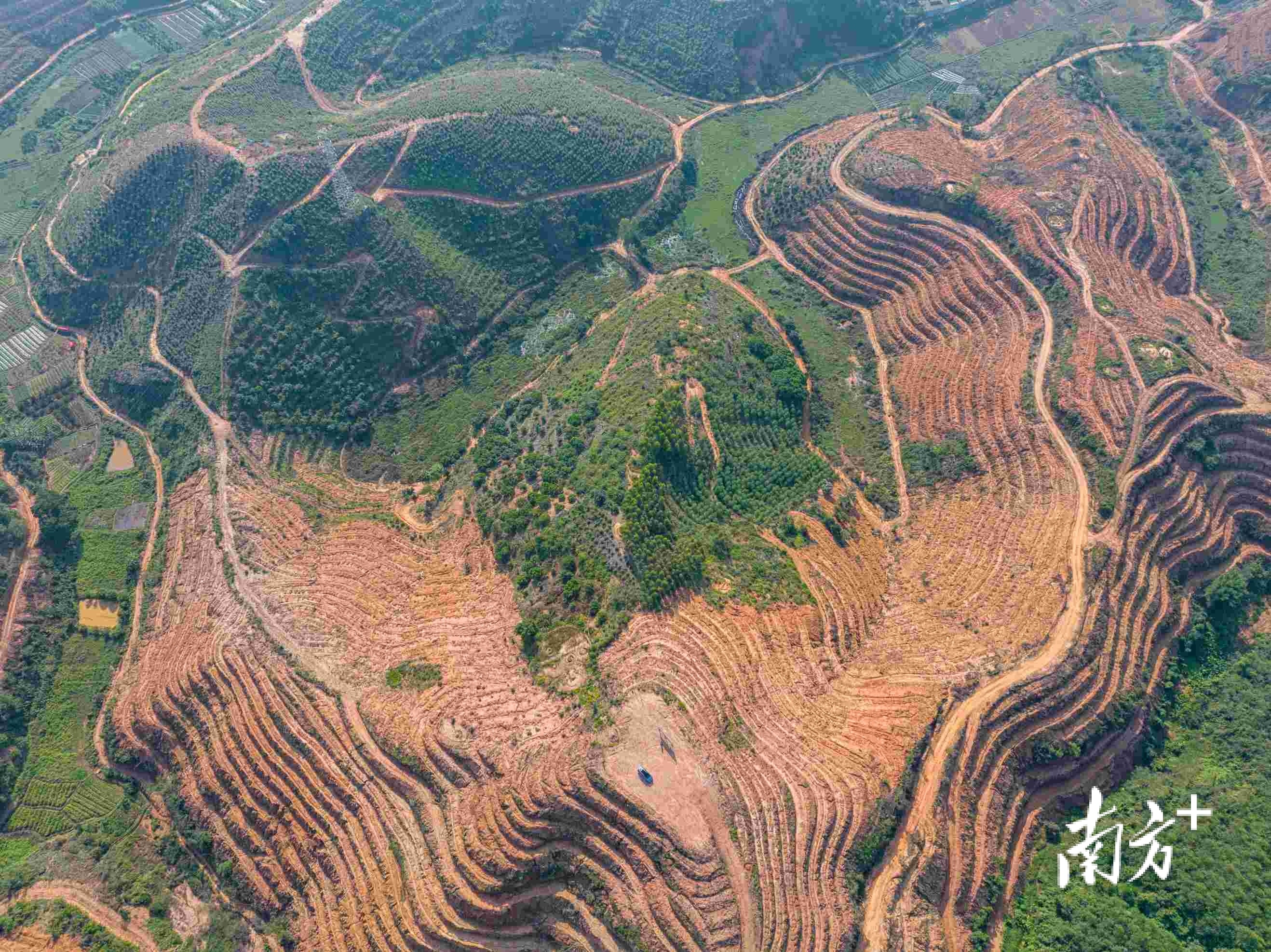 高州东岸镇图片