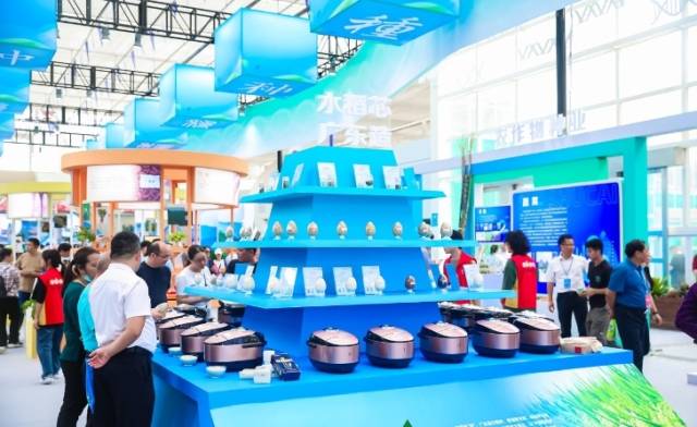 广东研发水稻种质展示。