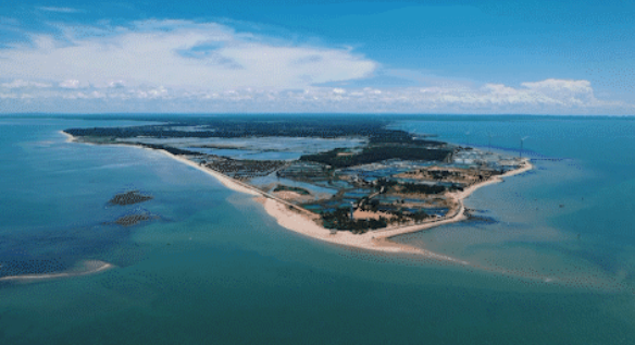 南方农村报 常秦 拍摄