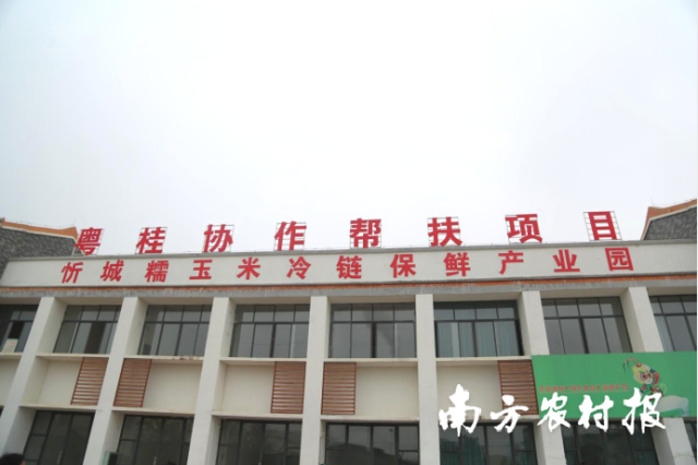 忻城县粤桂协作糯玉米冷链保鲜产业园。