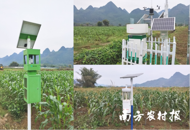 忻城粤桂协作农产品数字化溯源种植基地。