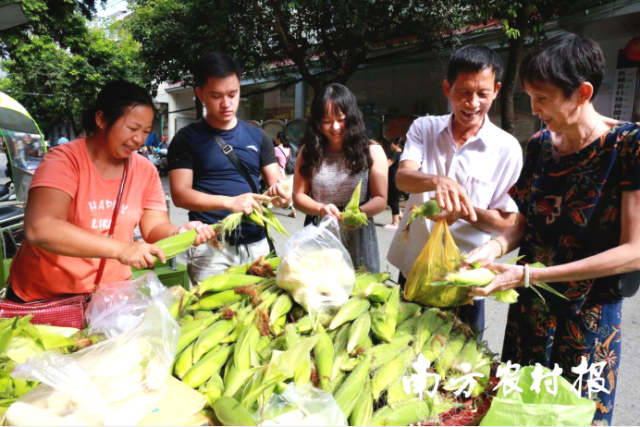 居民抢购，备受好评。