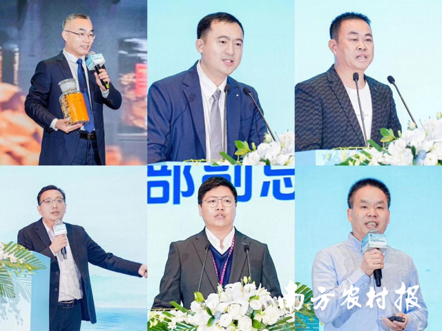 新会陈皮重点企业代表做推介并发布产品