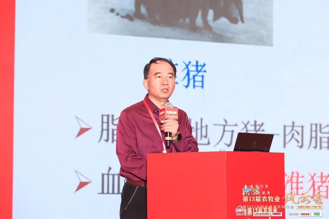 南京农业大学养猪研究所所长、中下江苏现代农业（生猪）产业技术体系首席专家黄瑞华教授