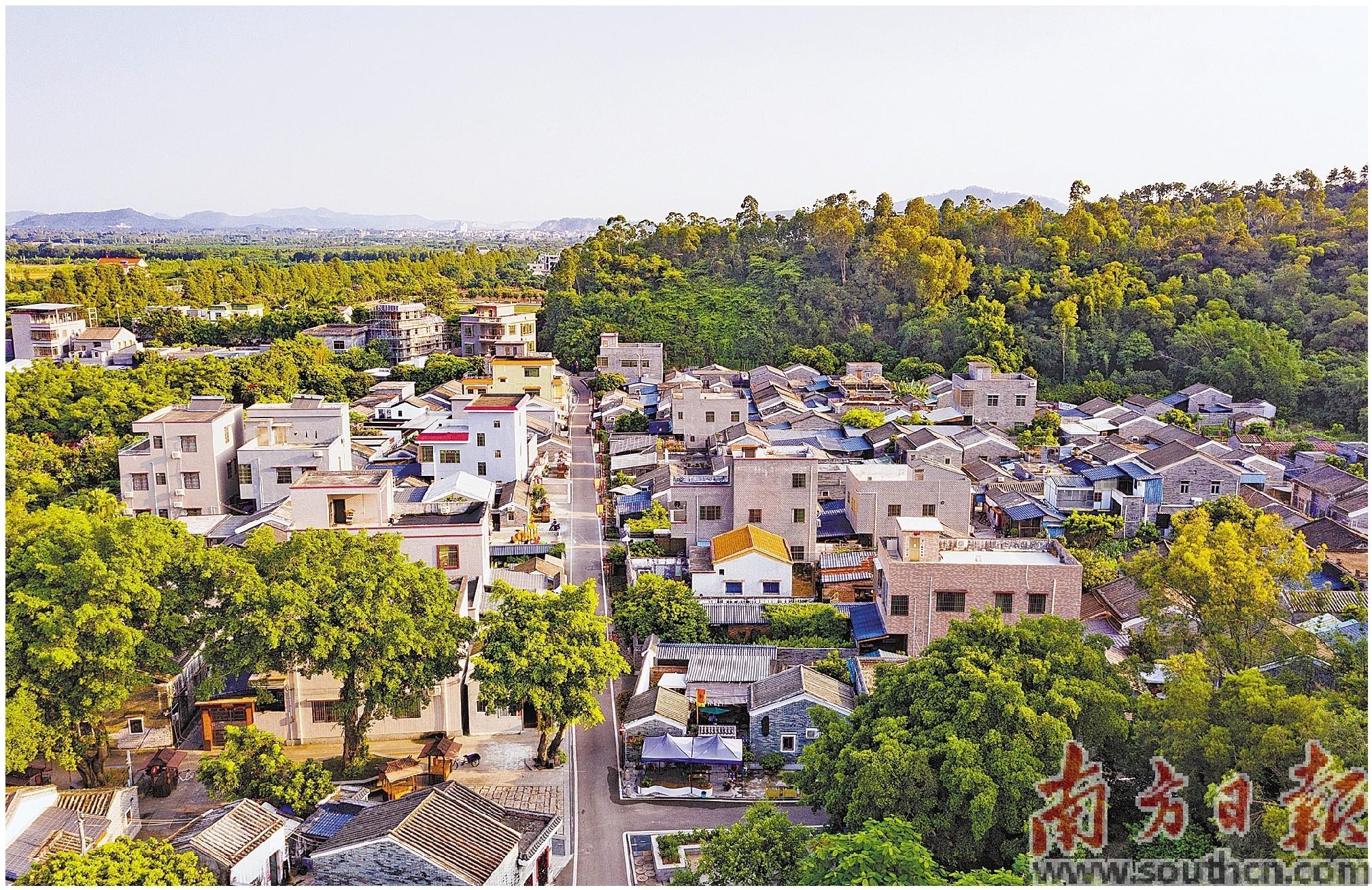 近年来，珠海持续开展农村人居环境整治。图为环境优美的莲江村。关铭荣 摄