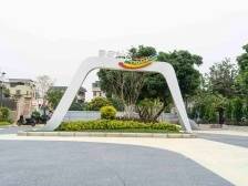 南沙珠江街：善治背后的红色力量