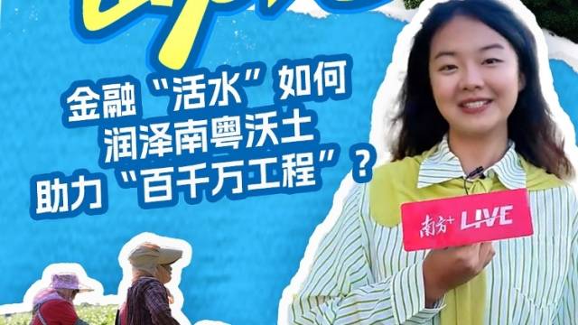 是什么“活水”浇灌出飘香的英德红茶？丨调研+