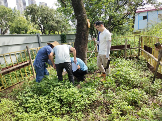 受訪者供圖