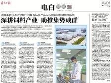 深耕饲料产业 助推集势成群 | 速览《南方日报·电白视窗》152期