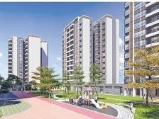 破题改造难，广州起好步｜大城大势，万象更新