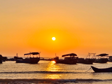 入选全省“百千万工程”首批典型，架炮村、西葛村如何“点土成金”？