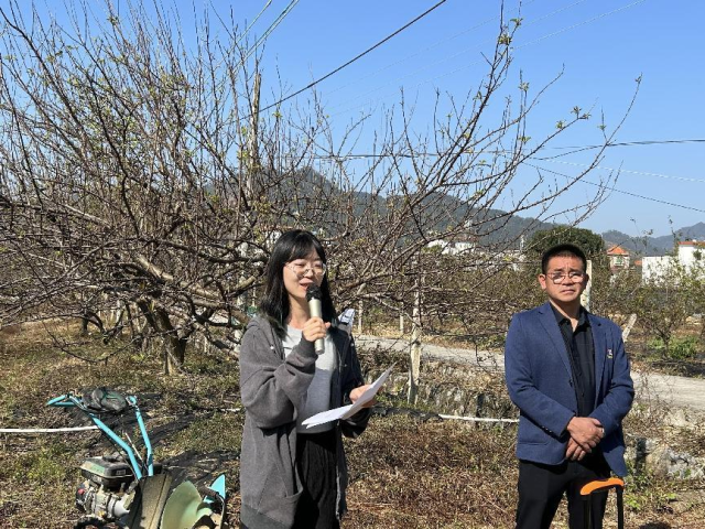 三華李基地直播有機肥施用技術(shù),。