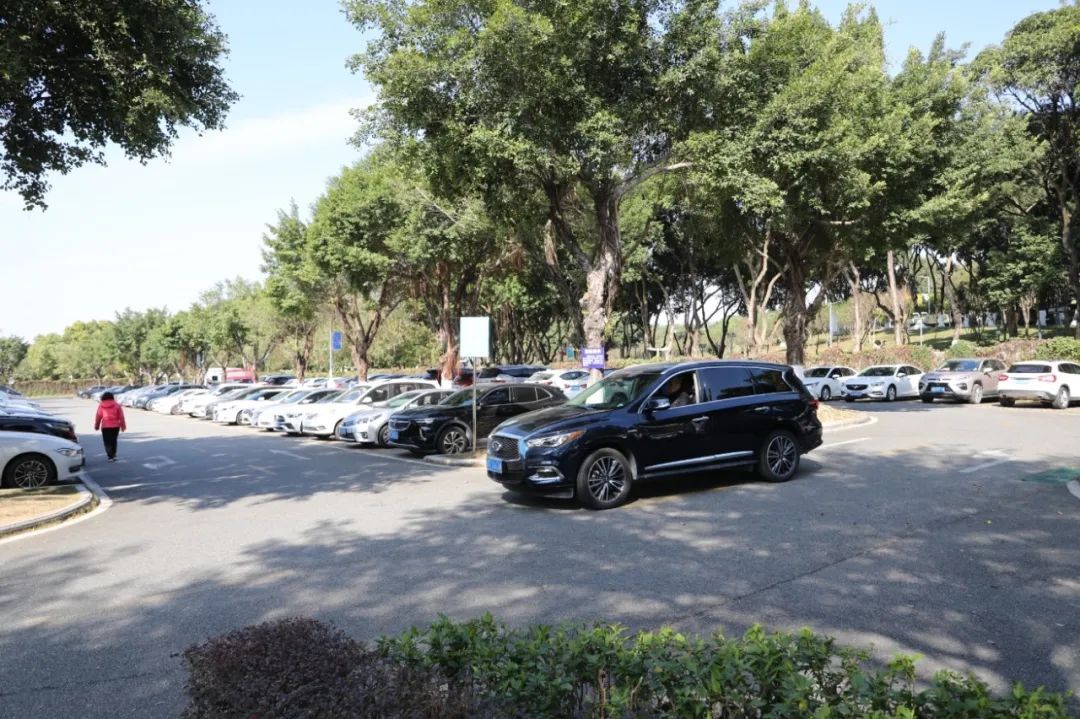 紫马岭公园南门停车场停着许多车辆。记者 王云 摄 紫马岭公园南门停车场停着许多车辆。记者 王云 摄