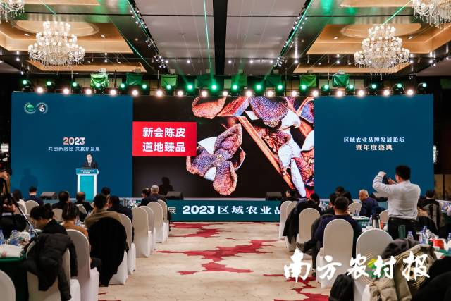 新会区副区长李志刚推介新会陈皮道地臻品。