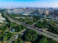 石涌村：聚力新园区 建设“西大门”｜一村一品 犇向和美⑯