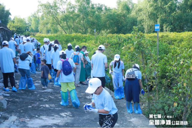 研究会定期举办垃圾清理活动，招募志愿者清洁红树林中的海漂垃圾。