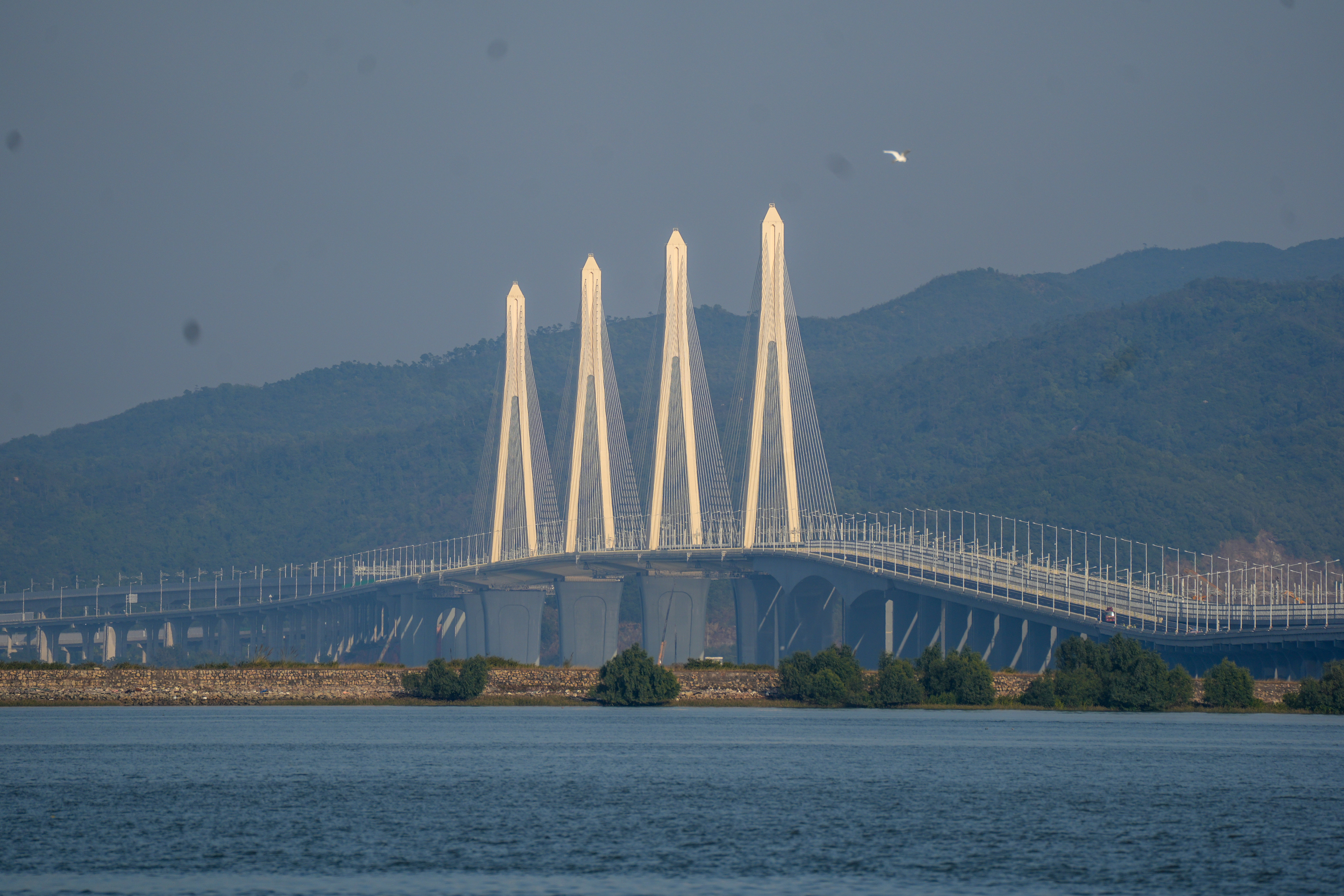 从金湾远眺金海大桥。  