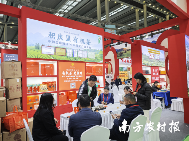 11家英德红茶企业参展深圳茶博会。