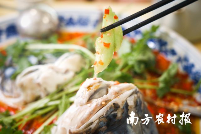 连州菜心搭上湖南长沙剁椒鱼头