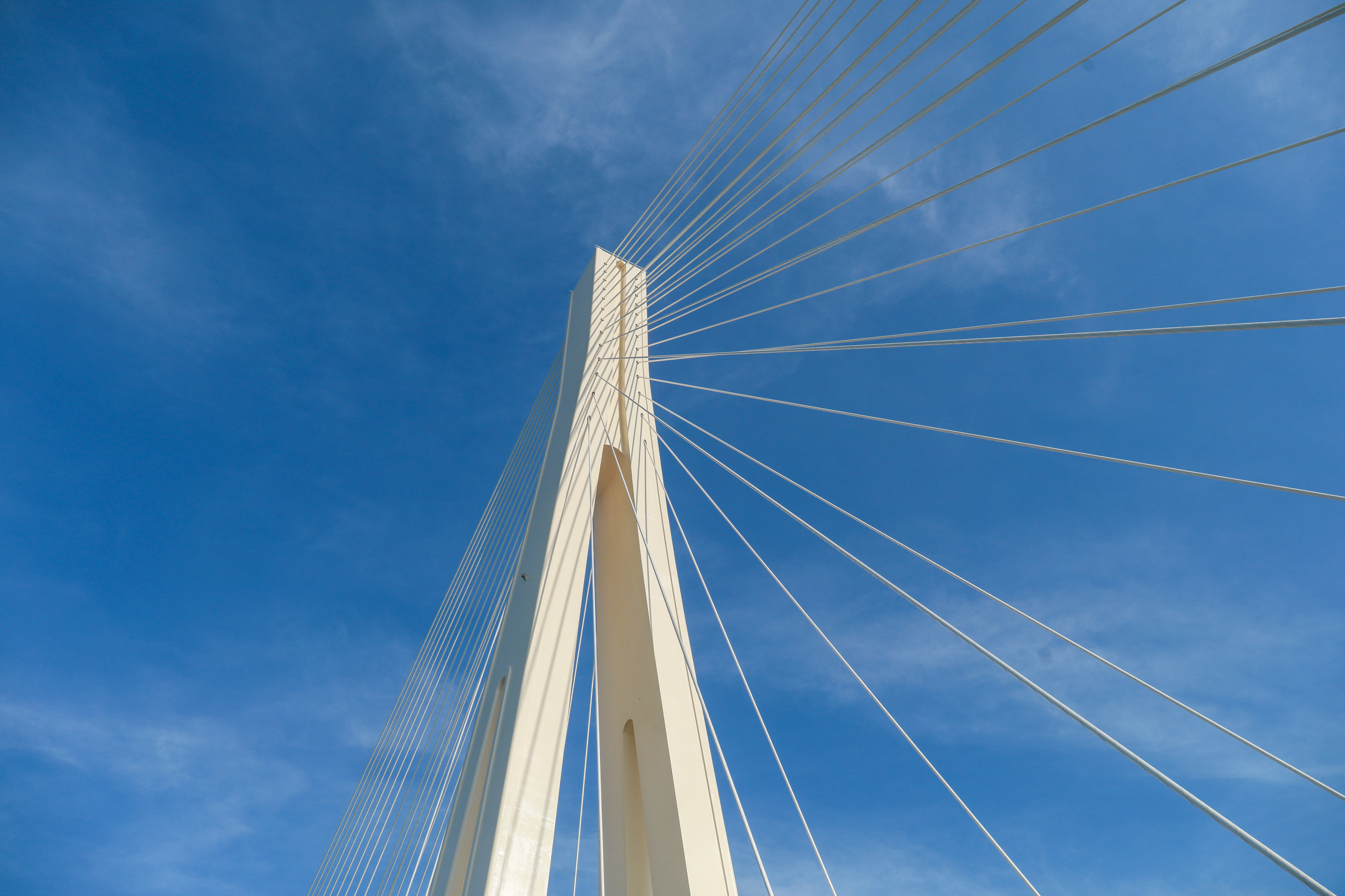 冬日里。斜拉索犹如竖琴一般。