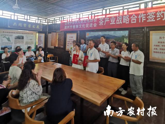 潮州市畲族文化促进会与台湾中华华人茶文化协会在李工坑石榴籽畲族村民议事厅签订茶产业战略合作协议。张建明 摄