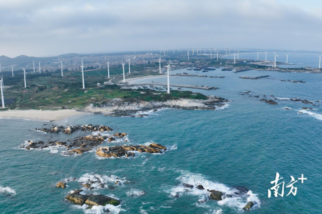 广垦布局海洋牧场