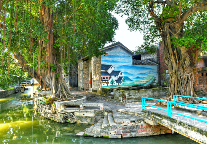 石江社区充分利用居民房前屋后闲置地打造成“四小园”。 石江社区充分利用居民房前屋后闲置地打造成“四小园”。