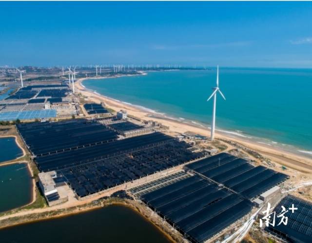 现代化海洋牧场