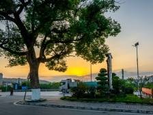 兴宁市水口镇党建引领典型村建设，水洋村旧貌焕新颜