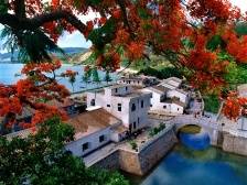 从明清走来，大澳古村华丽蝶变 | 阳江历史文化行