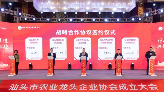 战略合作协议签约仪式