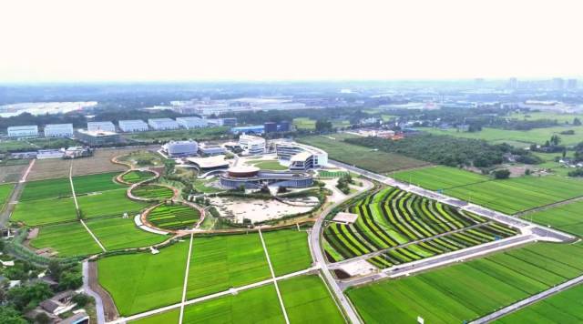 四川省邛崃市天府现代种业园加速打造中国种业高地。