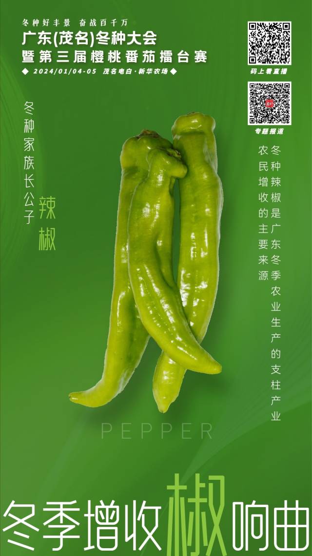 冬种家族长公子