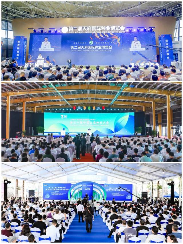 2023年，天府国际种业博览会（顶图）、中国北京种业大会（中图）、广东种业大会（底图）等种业盛会轮番举行。