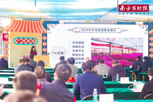 广州市农业农村局有关负责人介绍2024年年花营销筹备情况。