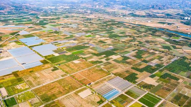 海南三亚崖州湾畔，沟垄纵横，良田万亩。国家南繁科研育种基地上孕育出万千良种。
