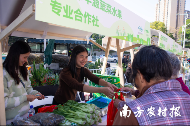 现场展销菜心受到市民朋友们的热捧