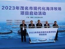 茂名现代化海洋牧场项目启动，48个网箱陆续被推向大海