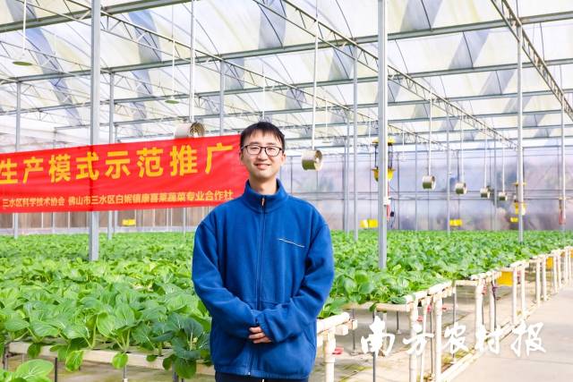 广东省农业科学院科辅李嘉炜驻扎在科技小院进行番茄大棚种植的水肥管理试验。