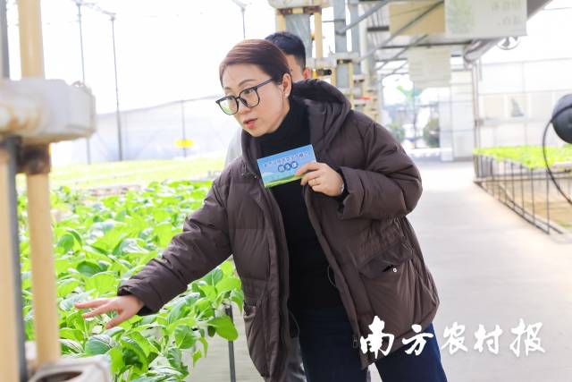 栽培研究室主任张白鸽现场讲解设施农业功能多元化的重要性。