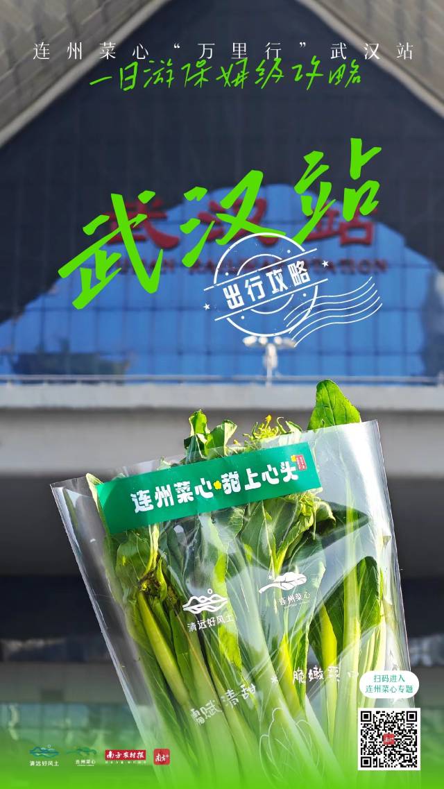 连州菜心“万里行”在武汉打卡。