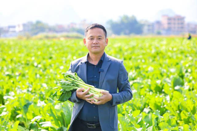 連州市連州菜心協(xié)會(huì)會(huì)長(zhǎng)陳洪輝